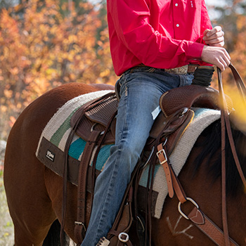 Saddles