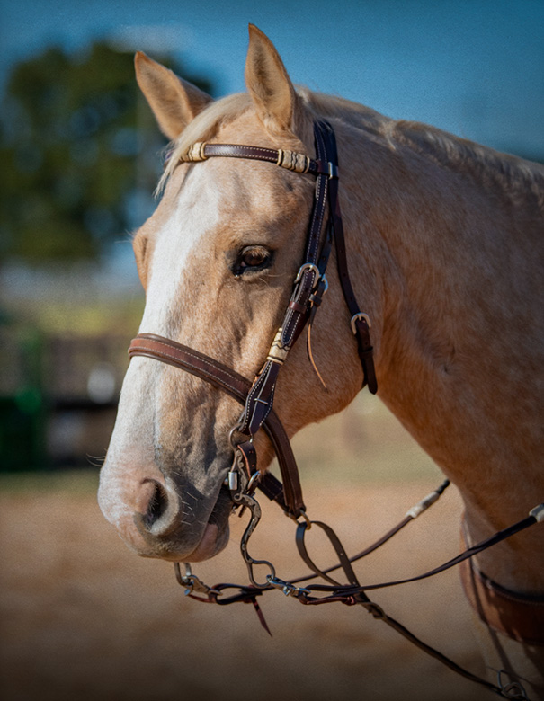 Dependable Protection